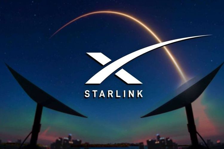 starlink spacex elon musk